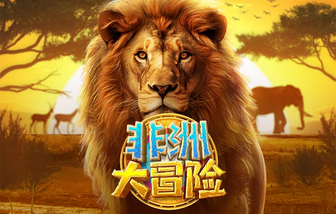豪赢体育入口官网